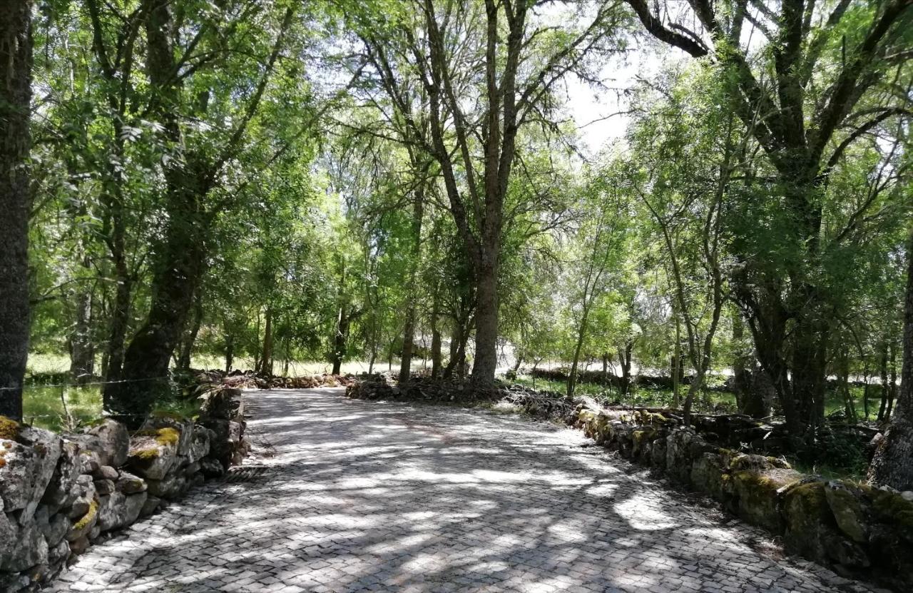 Carya Tallaya - Casas De Campo Vale das Éguas Extérieur photo