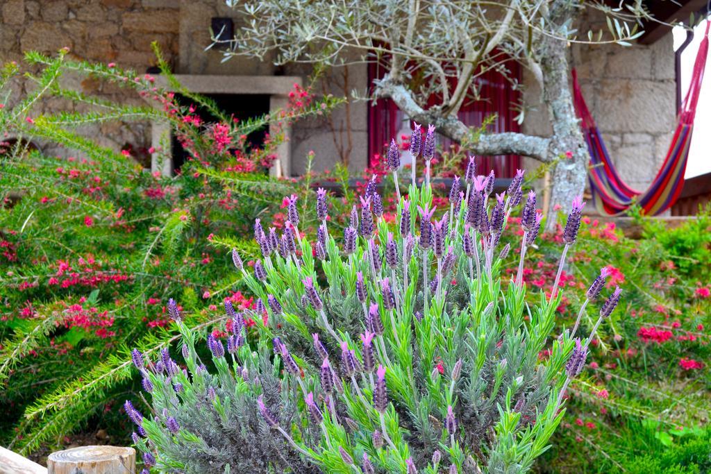 Carya Tallaya - Casas De Campo Vale das Éguas Extérieur photo